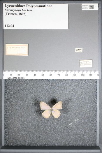 Media type: image;   Entomology 50104